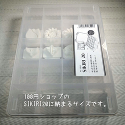  第9張的照片