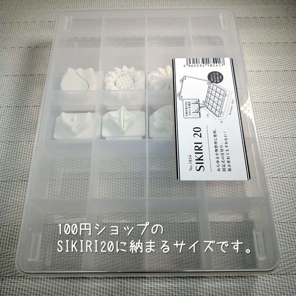  第9張的照片