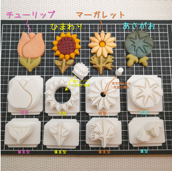  第1張的照片