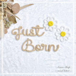 ウールレター Just Born ニューボーンフォトセット 雑貨・その他 Azure