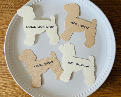 482c1813aa75b58f2697e4825119cc