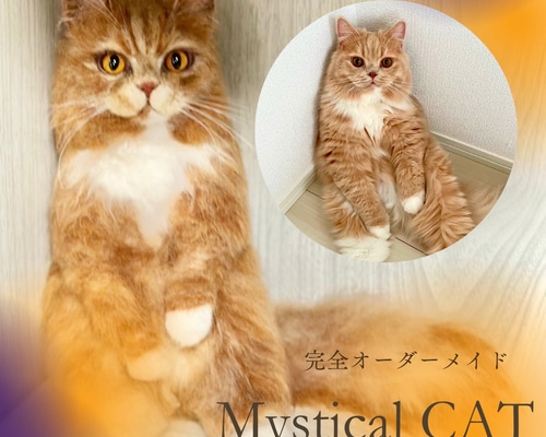羊毛フェルト 猫 さち（プロフ確認して下さい）様オーダーページ 羊毛フェルト猫》 #猫(ねこ)羊毛フェルト オーダー フレームキャット