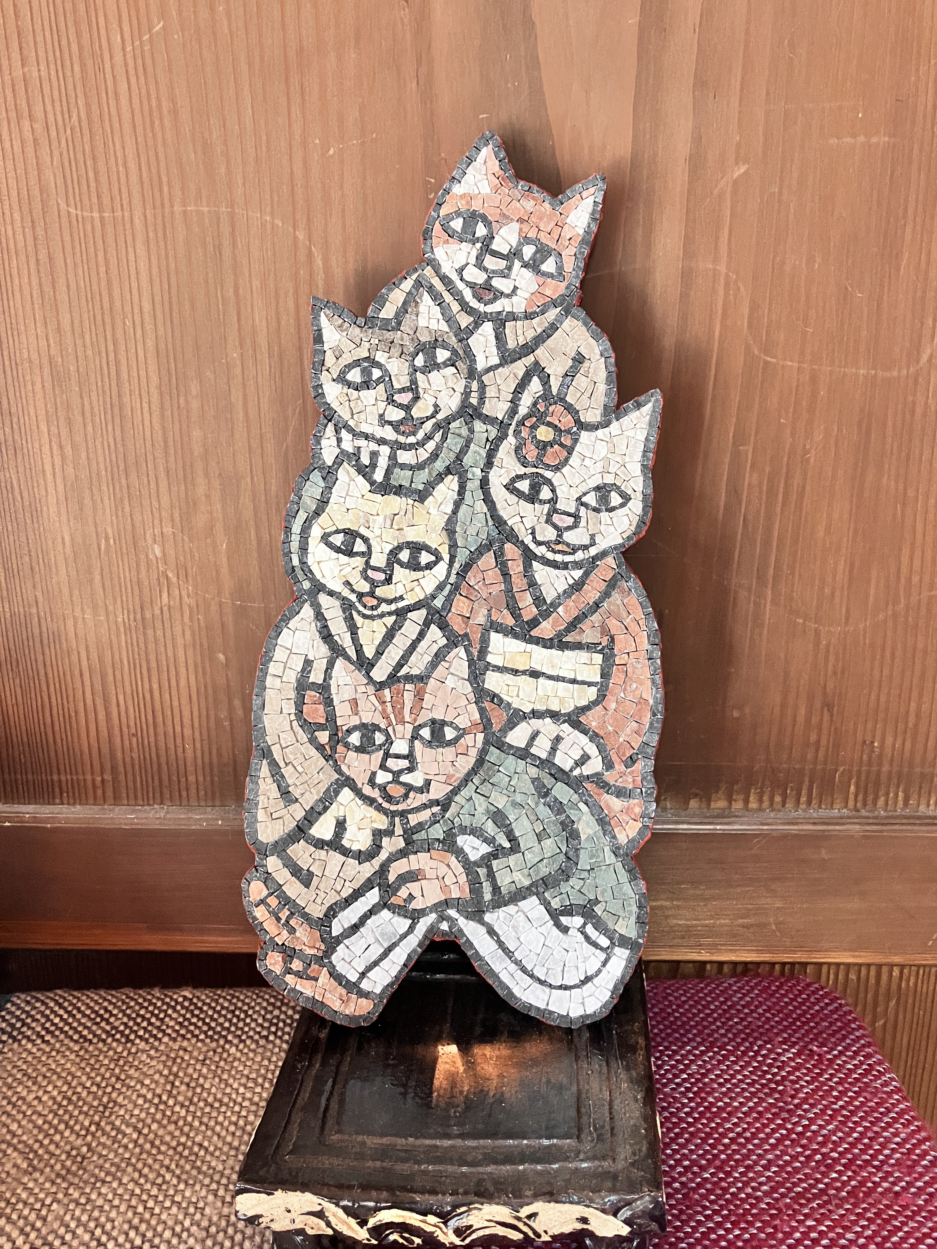 5匹のネコ