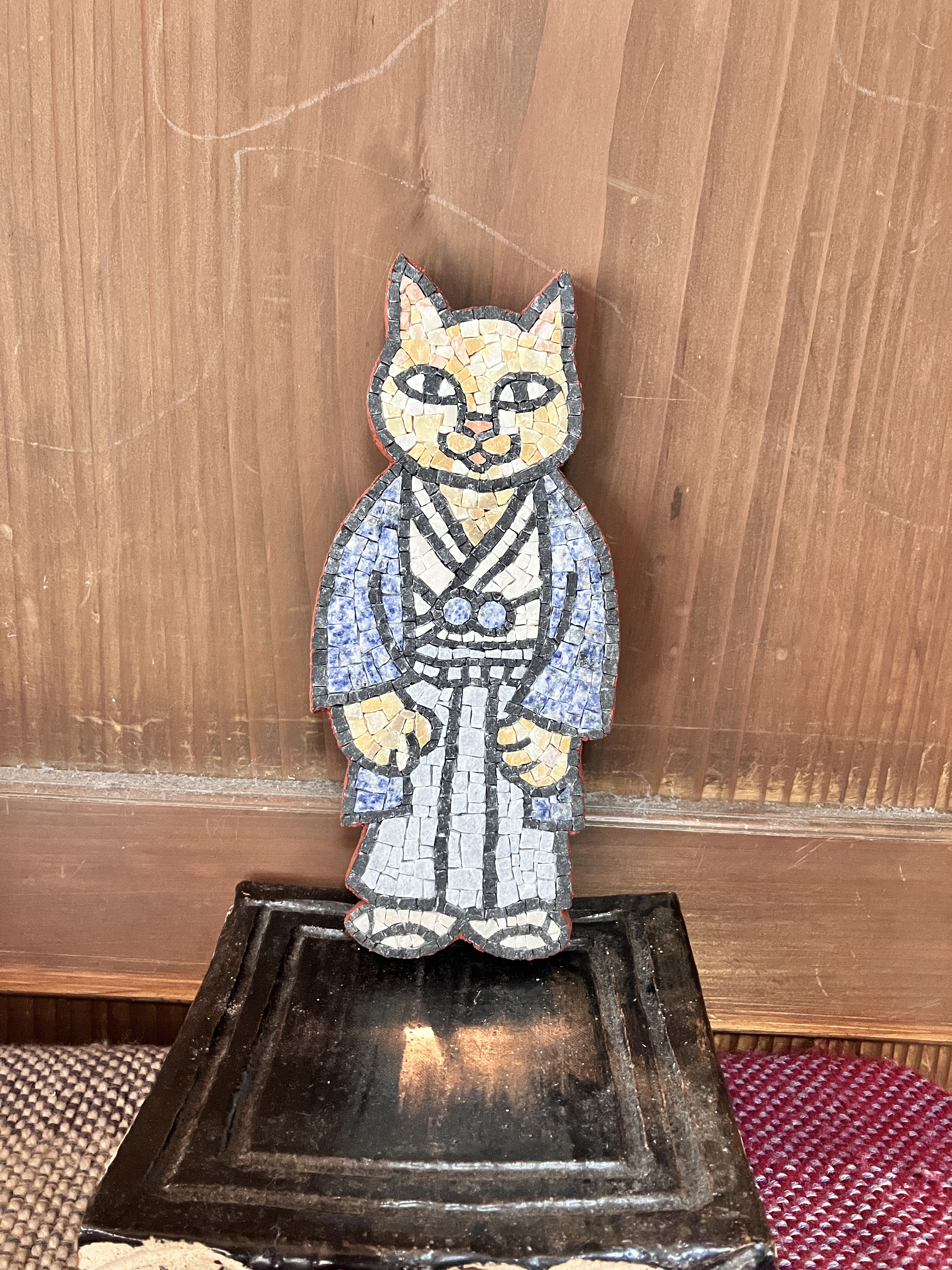 ネコ　成人式