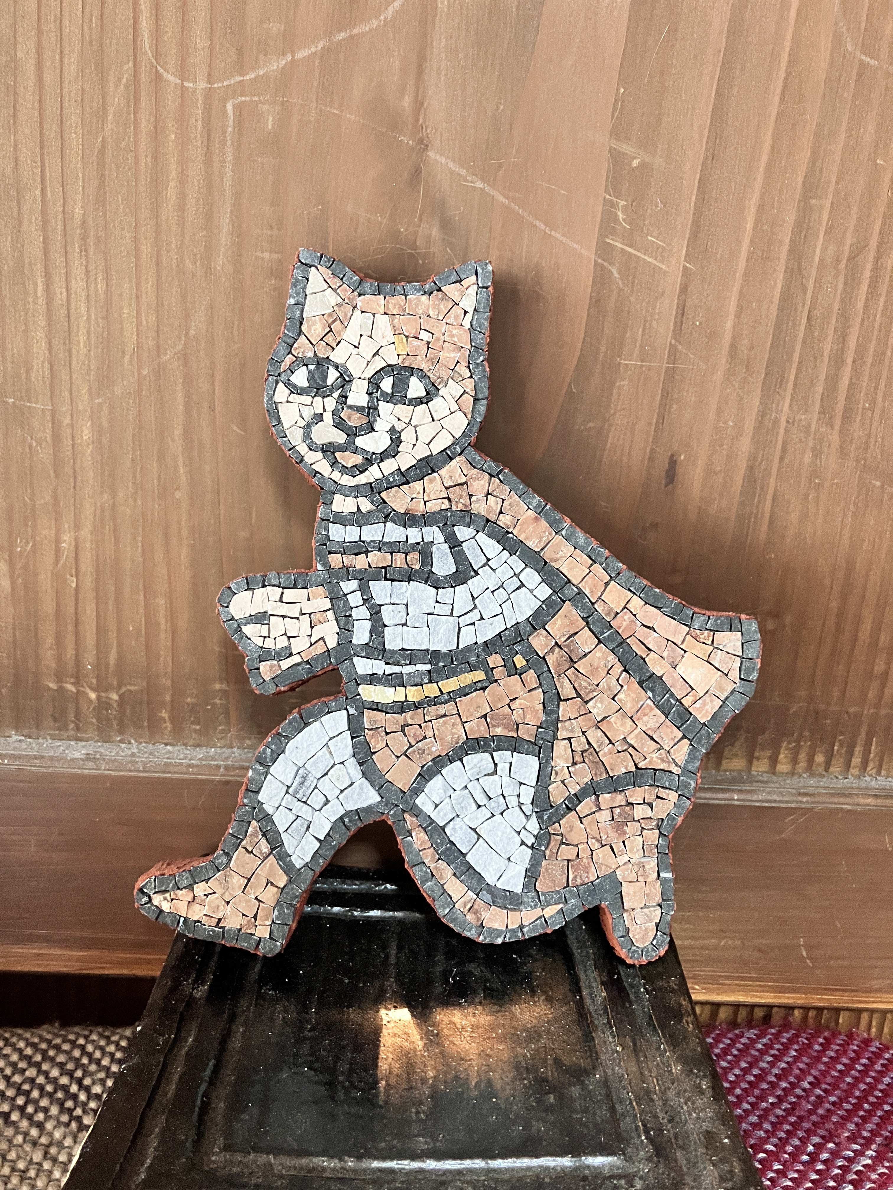 スーパーネコ　飛べません。走ります。