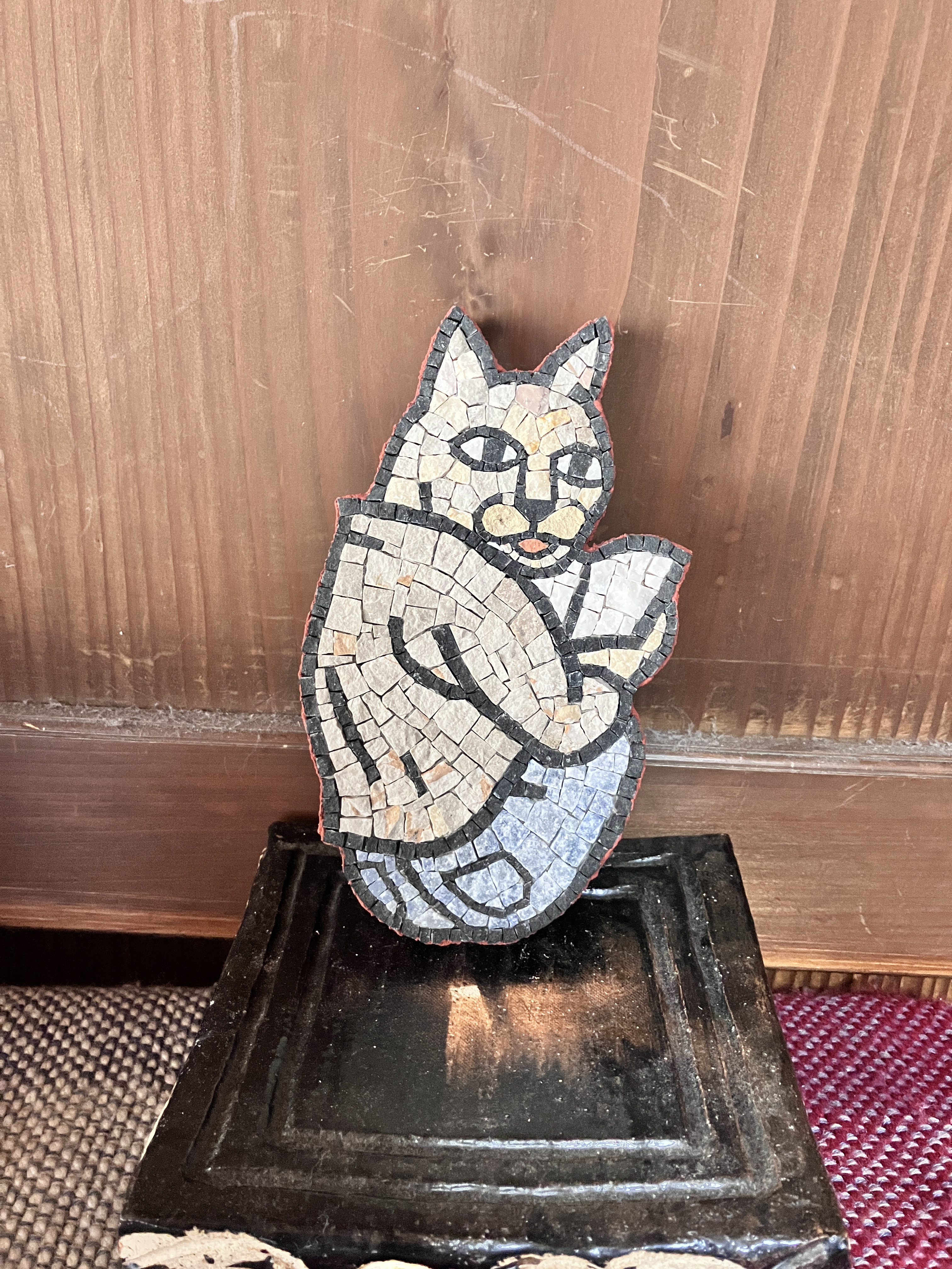 ネコ　ノックしろよ！