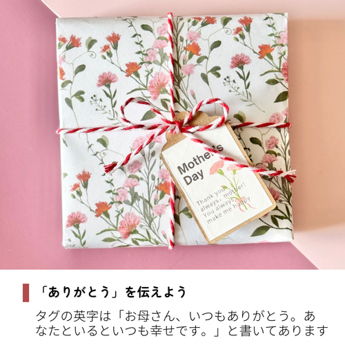 超早割【母の日ギフト】選べる箸置き2個セット カーネーション プチ