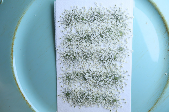  第1張的照片