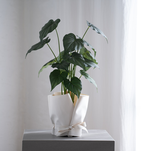 ユッカとラッピングレザーカバーセット（観葉植物） アートフラワー