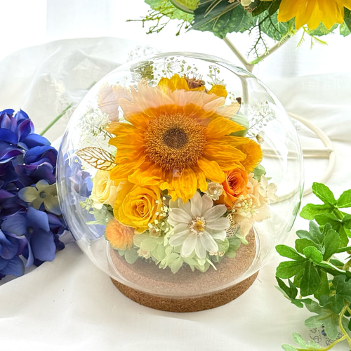 新作 ガラスドームひまわりとジニア アレンジ 母の日誕生日プレゼント