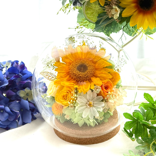 ガラスドーム ひまわり アートフラワー QUEUE DE RANUN 通販
