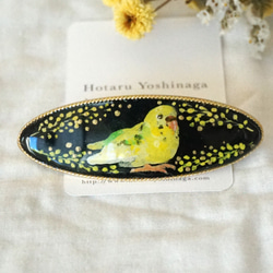 ミモザとインコのバレッタ＊手描き油彩画 2枚目の画像