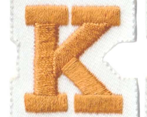 カレッジ風/フチあり】 A〜Z イニシャルワッペン アップリケ|アイロン