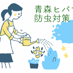  第8張的照片