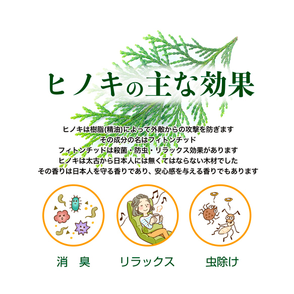  第3張的照片