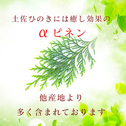  第2張的照片