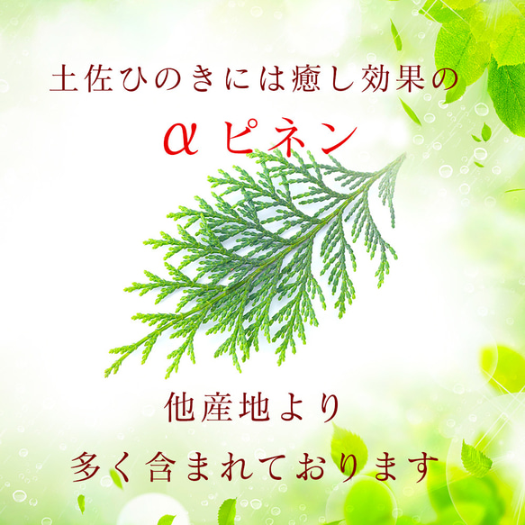  第2張的照片
