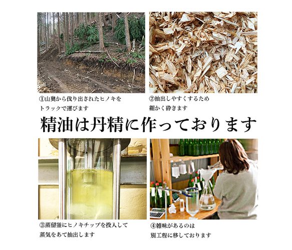 第11張的照片
