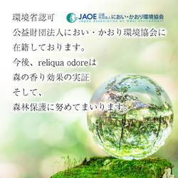  第12張的照片