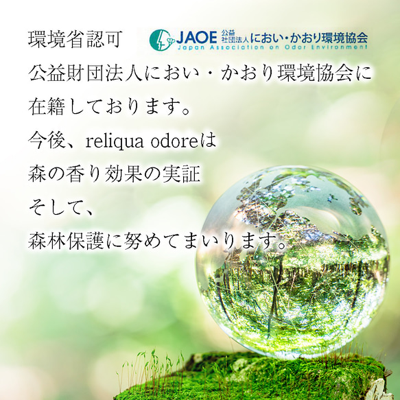  第12張的照片