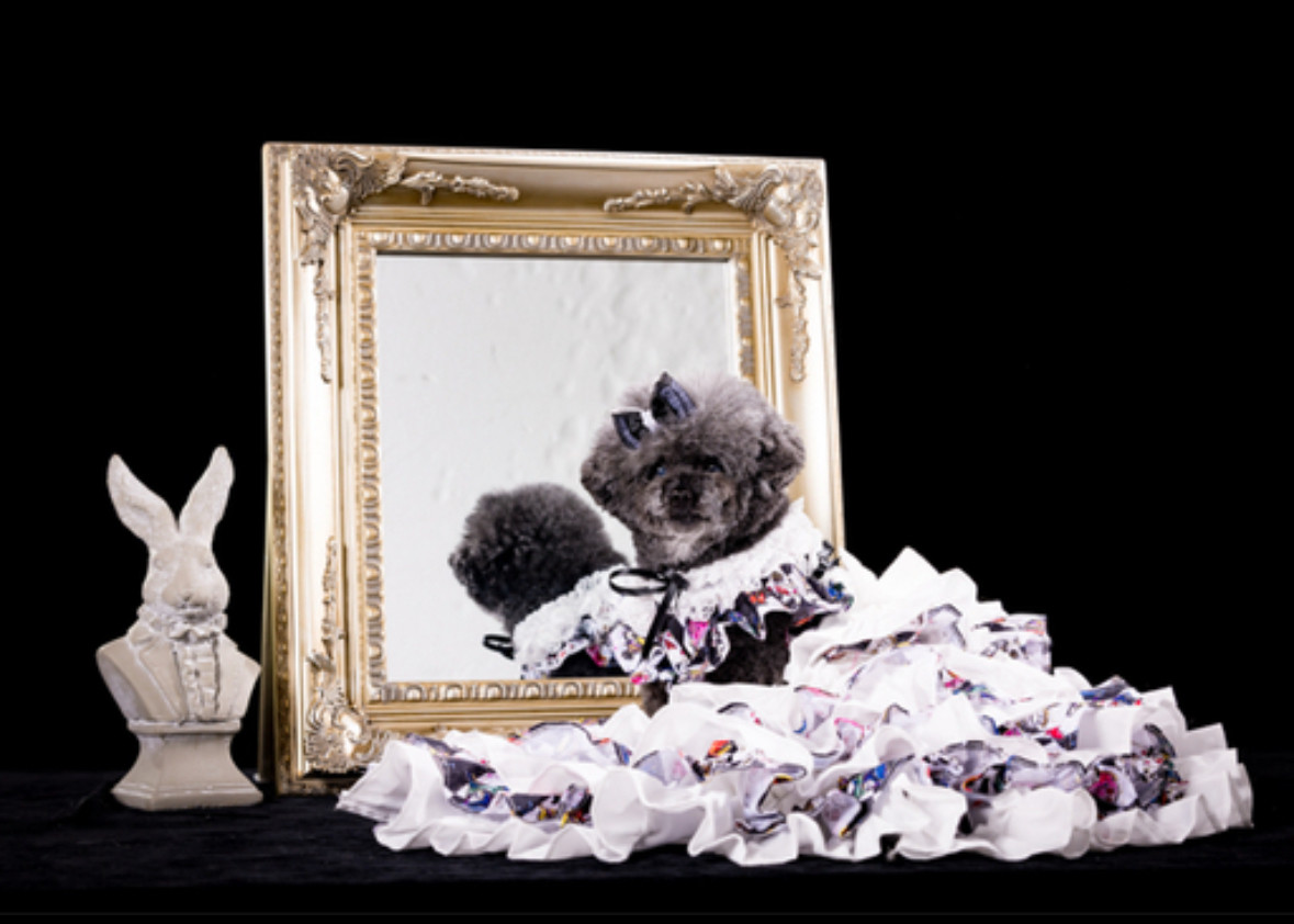 犬猫うさちゃん服　大型ちゃんオーダー可！　　　　　　　　　アリスのふりふり2wayドレス〜ブラック〜