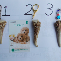 鹿の角 左右対称品 その他インテリア雑貨 手作り君 通販
