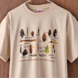 ［着る里山］田んぼの生き物Tシャツ（サンドベージュ） 2枚目の画像
