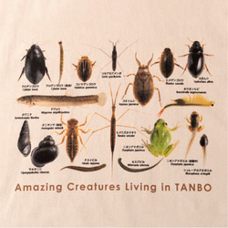 ［着る里山］田んぼの生き物Tシャツ（サンドベージュ） 3枚目の画像