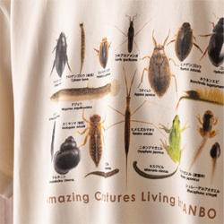 ［着る里山］田んぼの生き物Tシャツ（サンドベージュ） 9枚目の画像