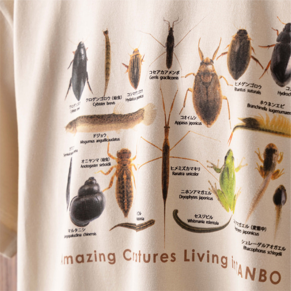 ［着る里山］田んぼの生き物Tシャツ（サンドベージュ） 9枚目の画像