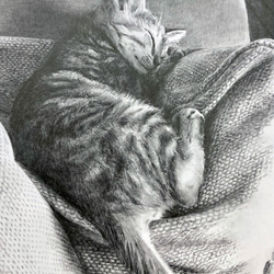 鉛筆画　オーダー画面 オーダーメイド サンプル 犬の絵 鉛筆画 絵画 ENPITSUYA 通販
