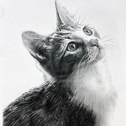 鉛筆画　オーダー画面 肖像画】細密鉛筆画（オーダー）・A4サイズ～ | iichi 日々の