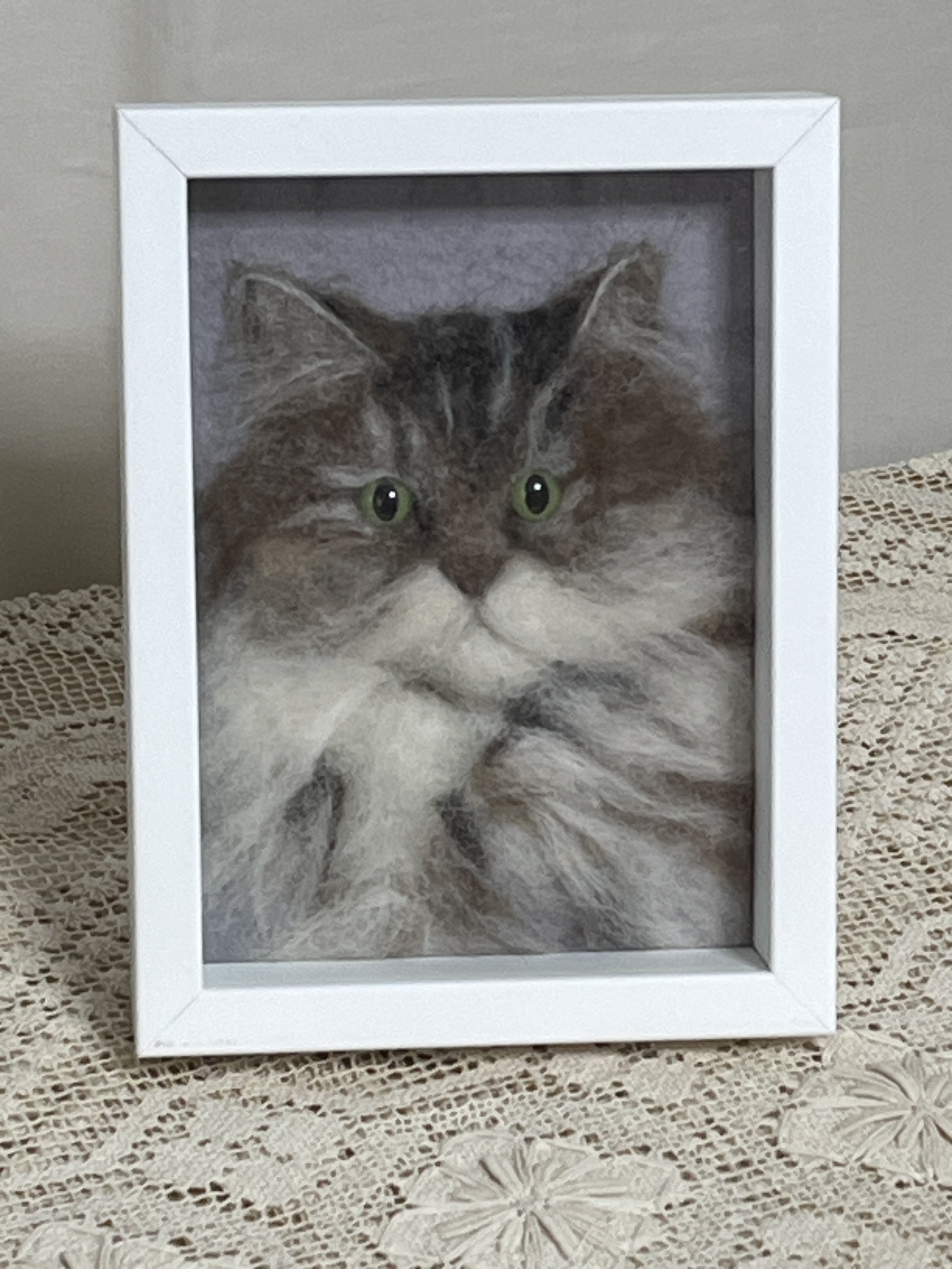 羊毛猫のポートレート