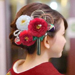 ▽Cb左1125 PLN プラチノン 在銘 アンティーク 希少 櫛 簪 和小物