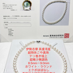 伊勢志摩英虞湾産越物あこや真珠超稀少ベビーサイズ4.5〜5.0ふんわりピンク 伊勢志摩英虞湾産越物あこや真珠超稀少ベビーサイズ4.5〜5.0