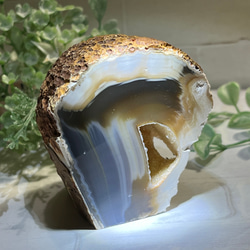 糸魚川 ✨ 青翡翠 コン沢 原石 ジェダイド タンブル 硬玉 天然石 東洋