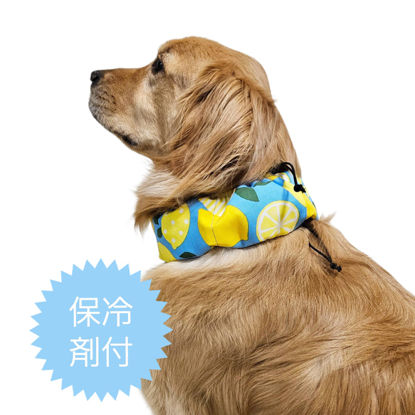 れもん♡れもん 犬服ハンドメイド品 れもん♡︎れもん様専用 ハンドメイド 犬服 犬服ハンドメイド♡あめ