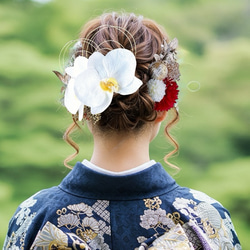 凛と咲く胡蝶蘭の髪飾り①R 結婚式 成人式 胡蝶蘭 和装 振袖