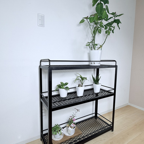ボタニカルシェルフ アイアン 観葉植物棚 アガベ育成棚 観葉植物 棚