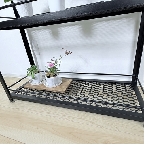 ボタニカルシェルフ アイアン 観葉植物棚 アガベ育成棚 観葉植物 棚