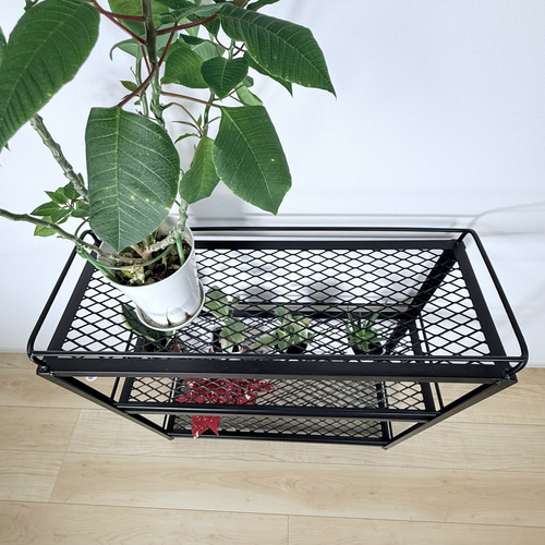 ボタニカルシェルフ アイアン 観葉植物棚 アガベ育成棚 観葉植物 棚