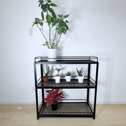 ボタニカルシェルフ アイアン 観葉植物棚 アガベ育成棚 観葉植物
