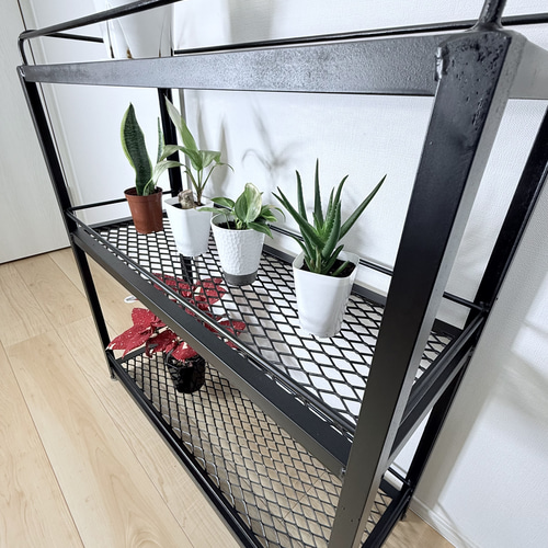 ボタニカルシェルフ アイアン 観葉植物棚 アガベ育成棚 観葉植物 棚