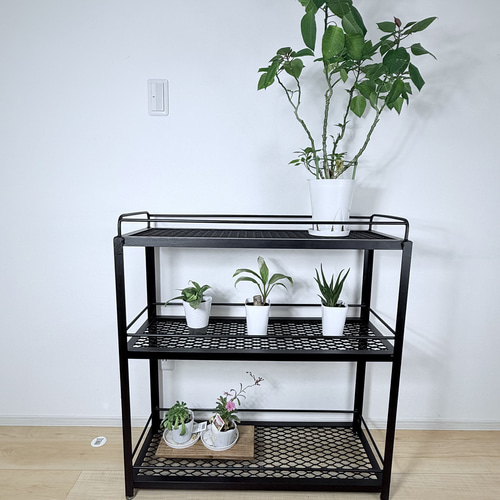 ボタニカルシェルフ アイアン 観葉植物棚 アガベ育成棚 観葉植物 棚