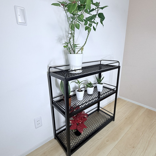 ボタニカルシェルフ アイアン 観葉植物棚 アガベ育成棚 観葉植物 棚