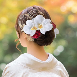 凛と咲く胡蝶蘭の髪飾り②R 結婚式 成人式 胡蝶蘭 和装 振袖 卒業式 白