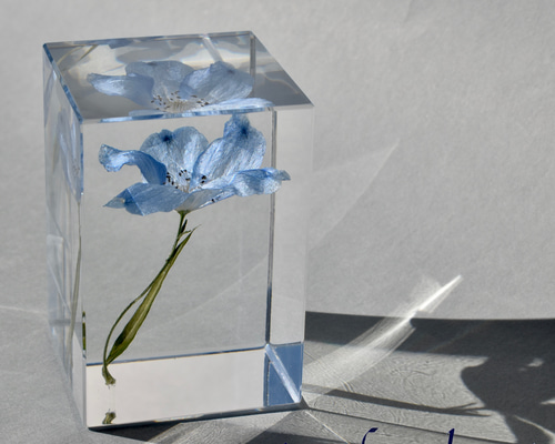 植物標本 デルフィニューム 水色 レジン 4センチ角柱 ハーバリウム