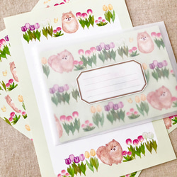 チューリップ レターセット（letter writing set） 1枚目の画像