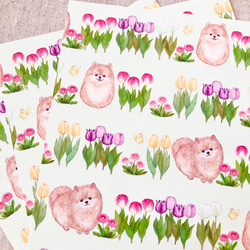 チューリップ レターセット（letter writing set） 2枚目の画像