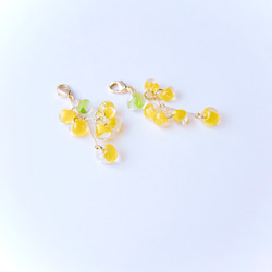 ✴︎small spring✴︎ミモザ✴︎ ピアスみたいなマスクチャーム【Hijiri】ミモザ　黄色　春アクセサリー 3枚目の画像